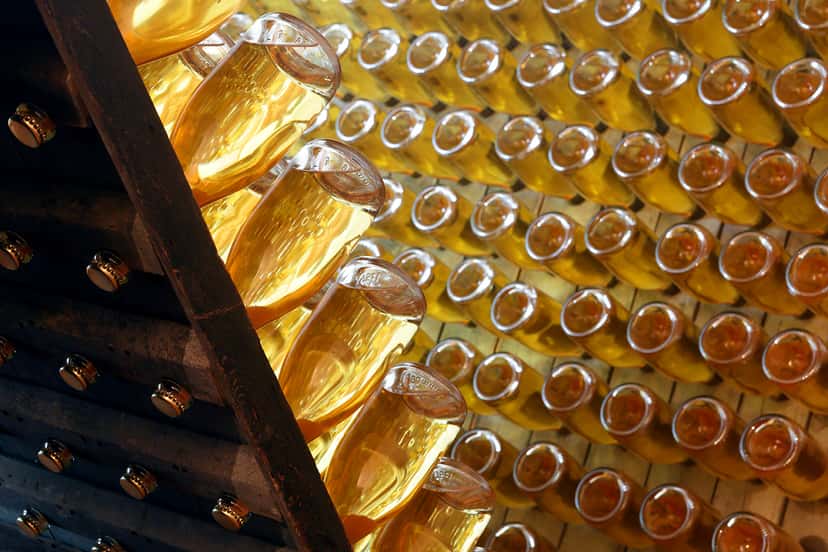 Visite du HemingWine Grand Cru Gourmet au domaine De Stefani