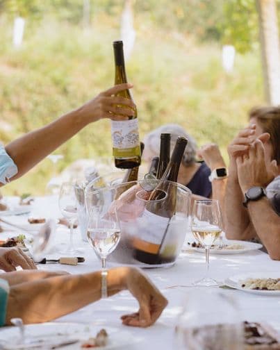 Degustazione di vini e pranzo presso l'azienda vinicola Vinho Verde Quinta De Lourosa