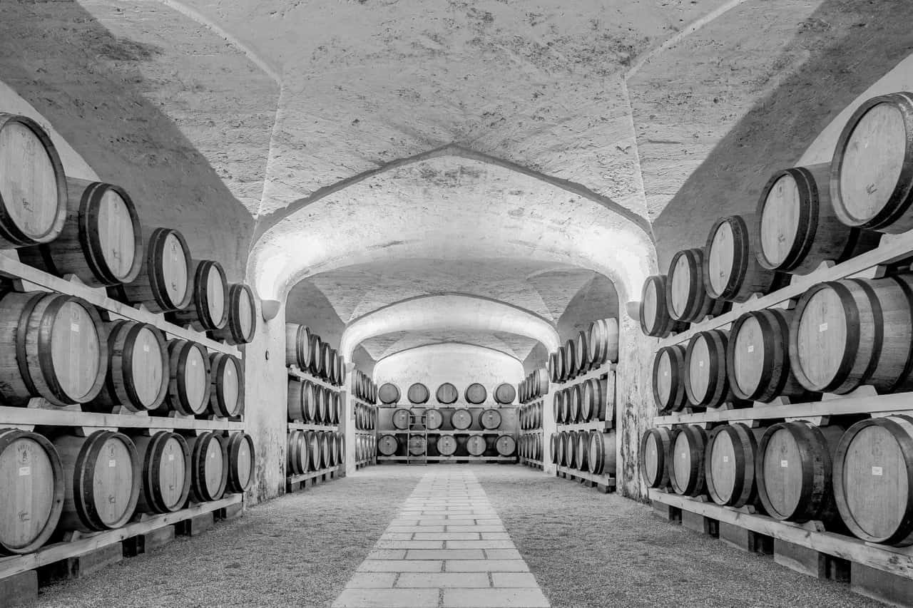 Visite guidée et dégustation de vins à Castel Di Salve