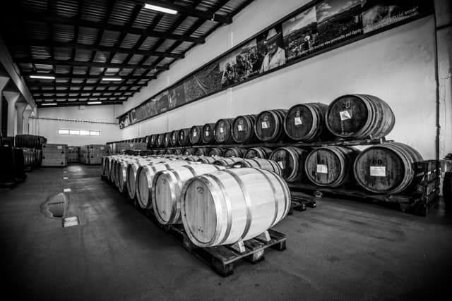 Pico Island Wine Cooperative - Picowines