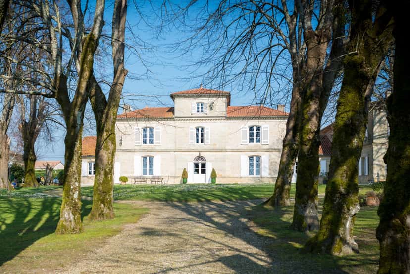 Château du Payre: A Legacy of Women in Winemaking