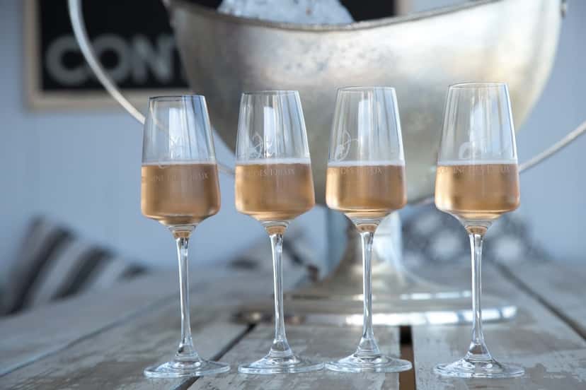 Wine Tasting at Domaine des Dieux