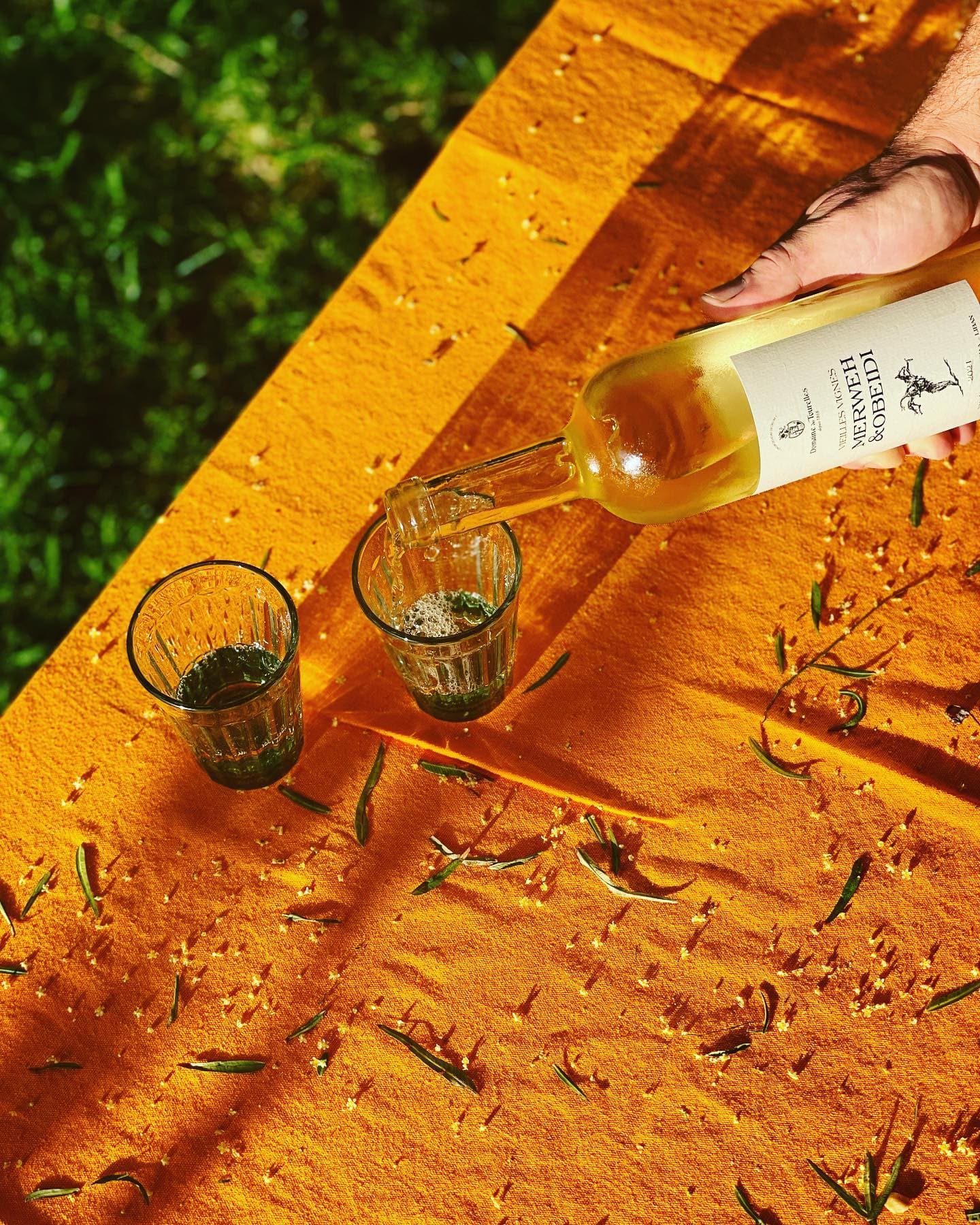 Wine tasting and tour at Domaine des Tourelles
