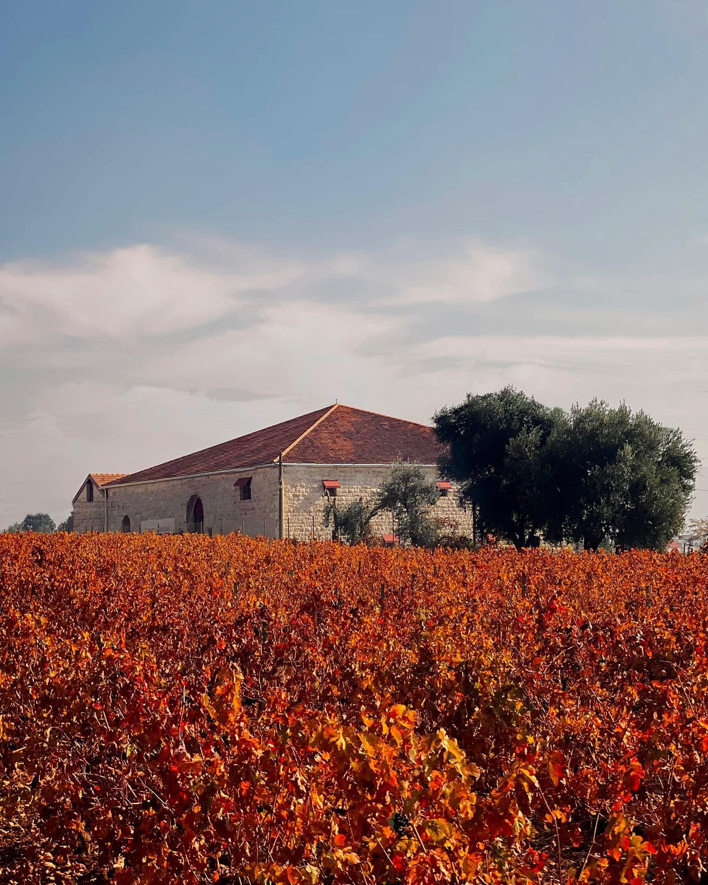Domaine Des Tourelles