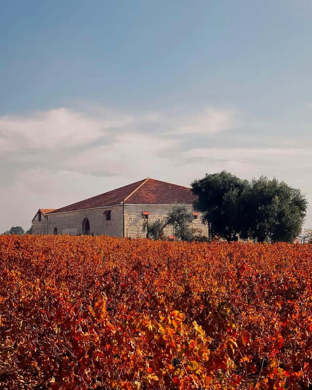 Domaine Des Tourelles