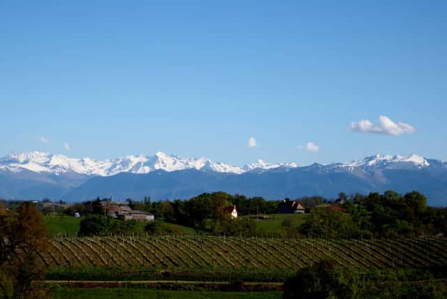 Domaine Larroudé