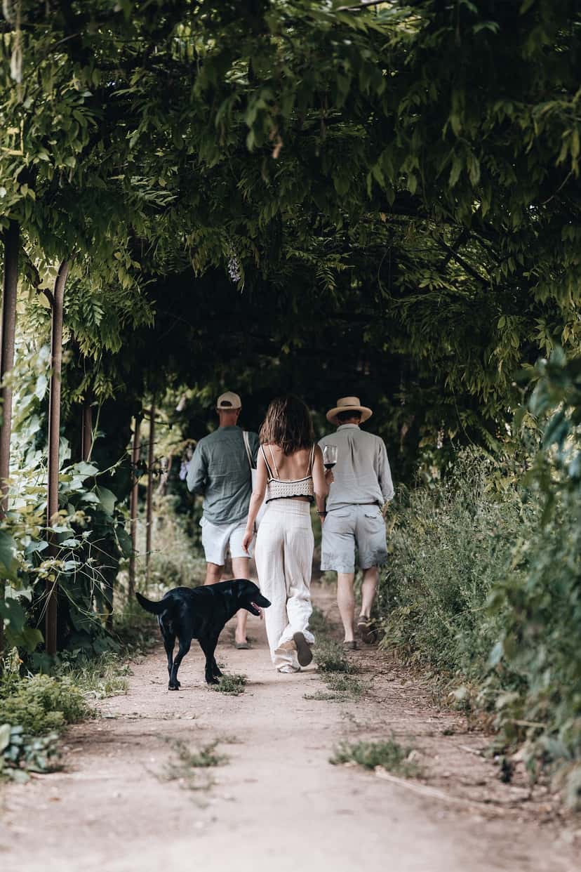 Browse all Hike & Wine in Portugal