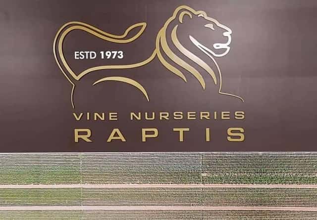 Estate Raptis