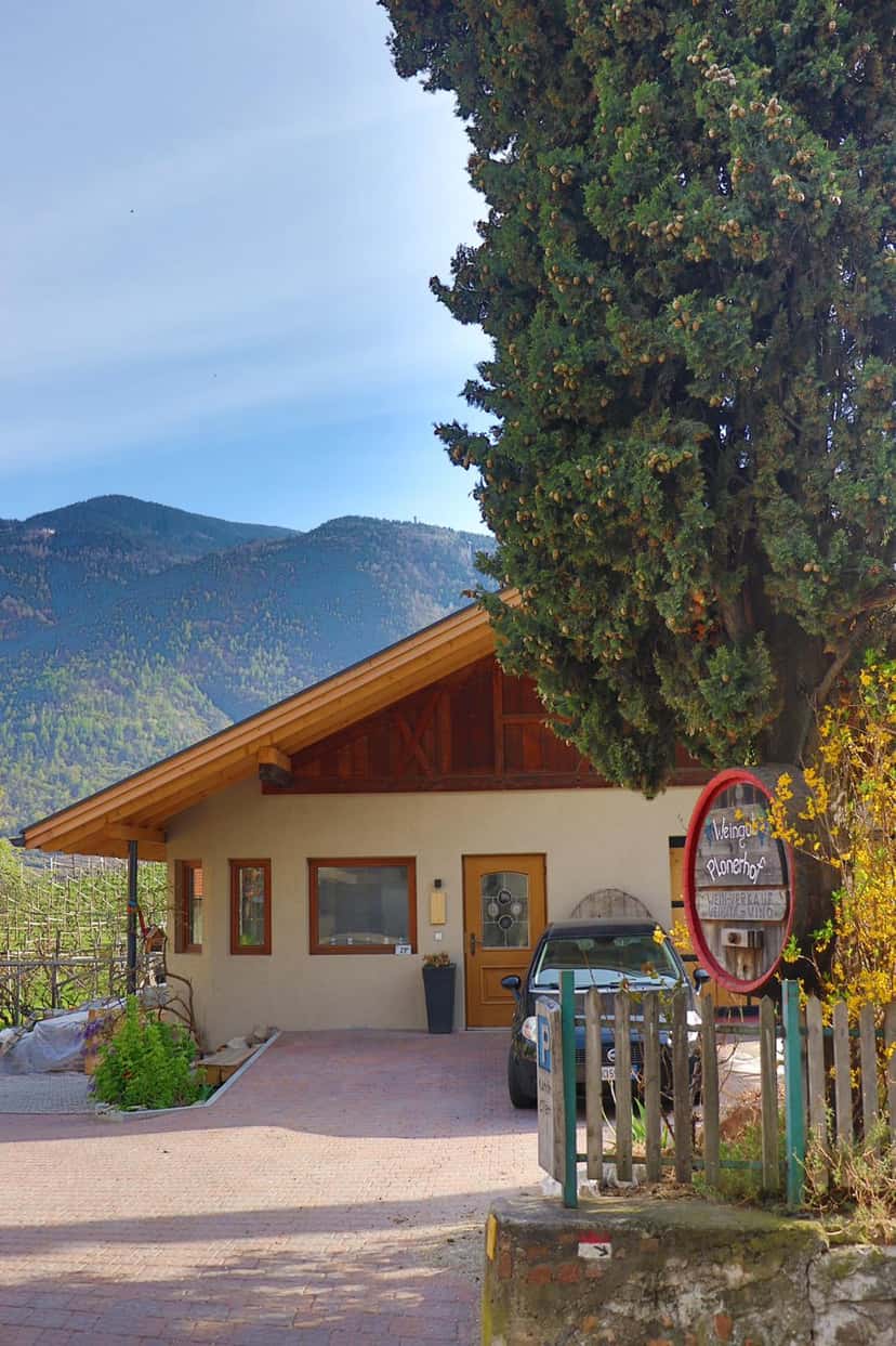 Vinprovning och vingårdstur på Weingut Plonerhof