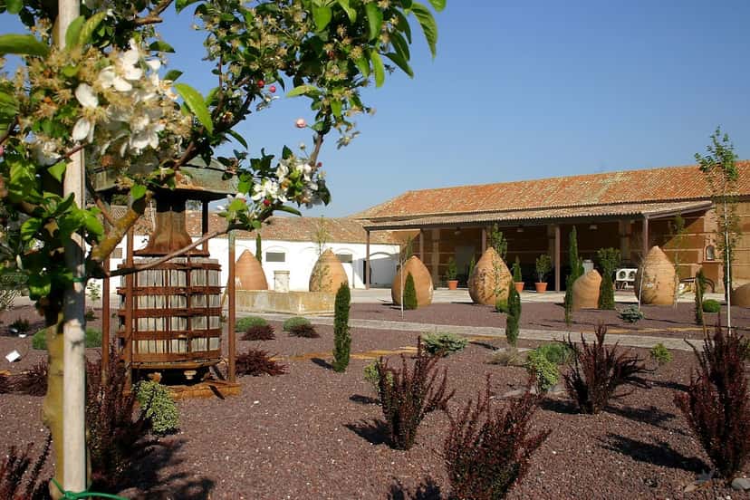 Finca Loranque Winery