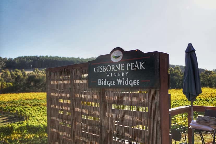 Gisborne Peak Winery
