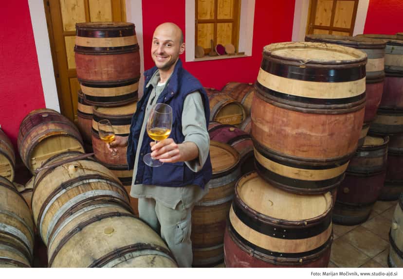 Weinprobe und Tour bei Gordia
