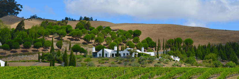 Hawke's Bay wine city