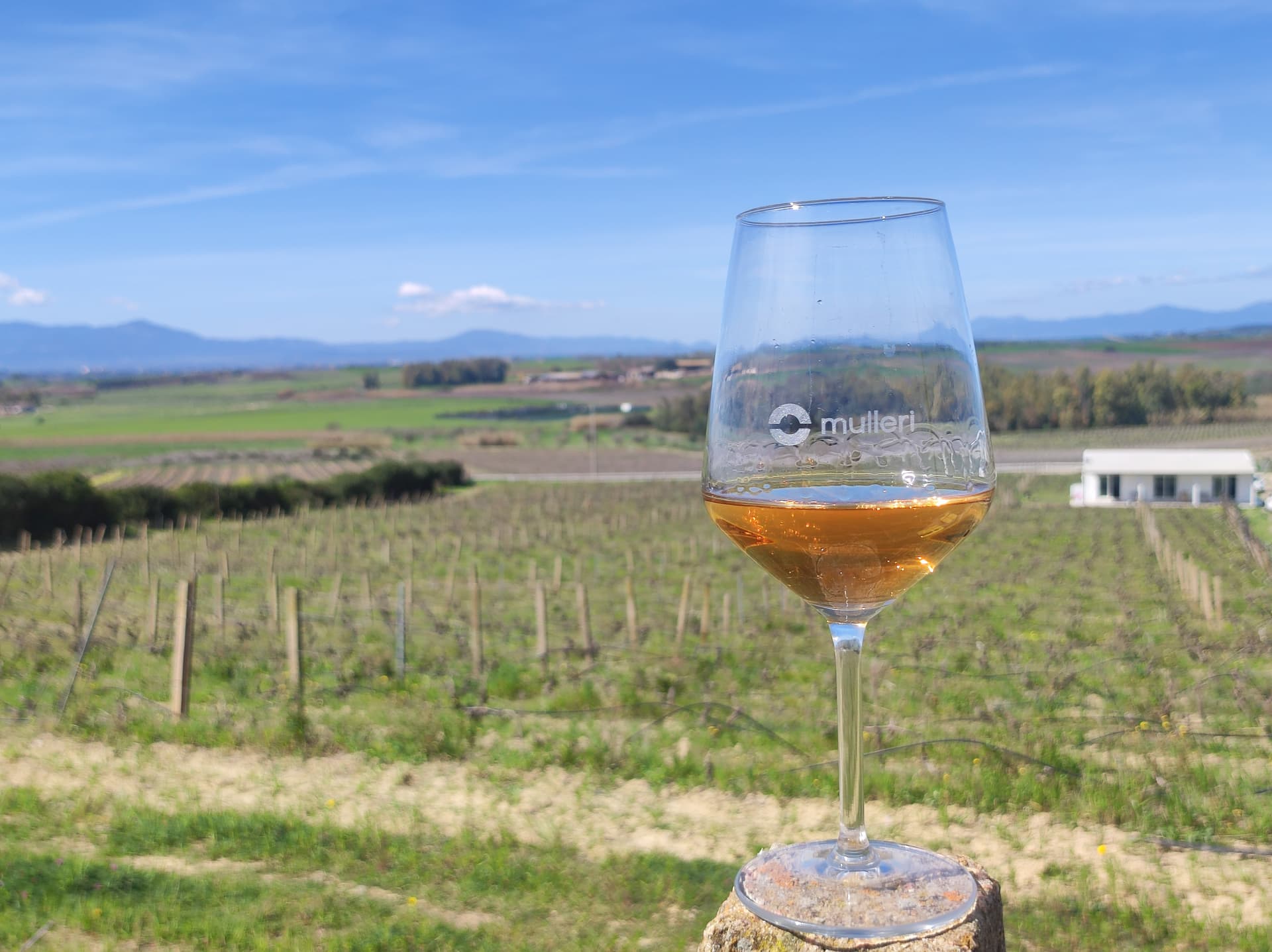Cata de 2 vinos en la bodega boutique Mulleri