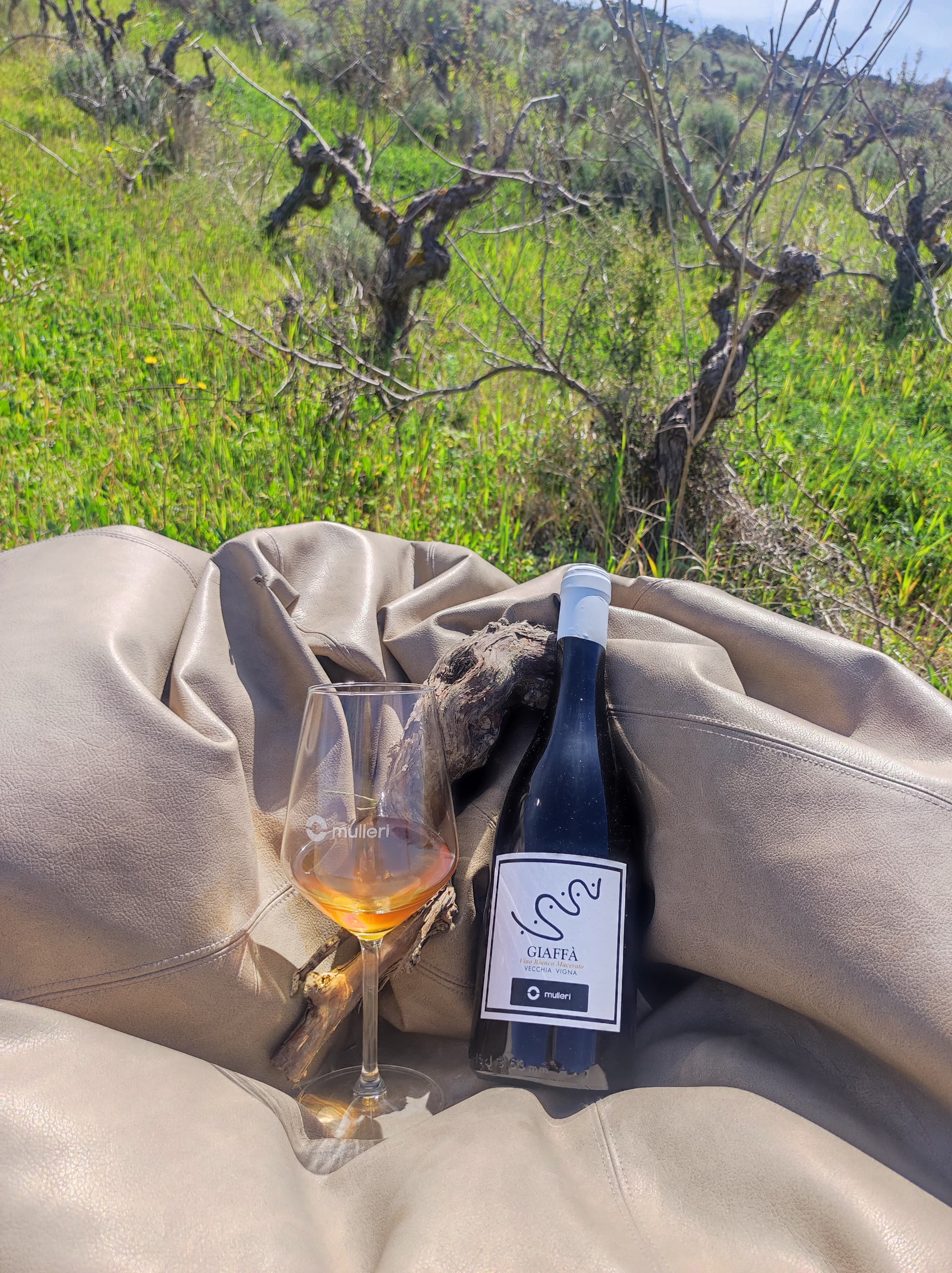 Explore Sardinia’s Orange Wines in 3 Unique Styles