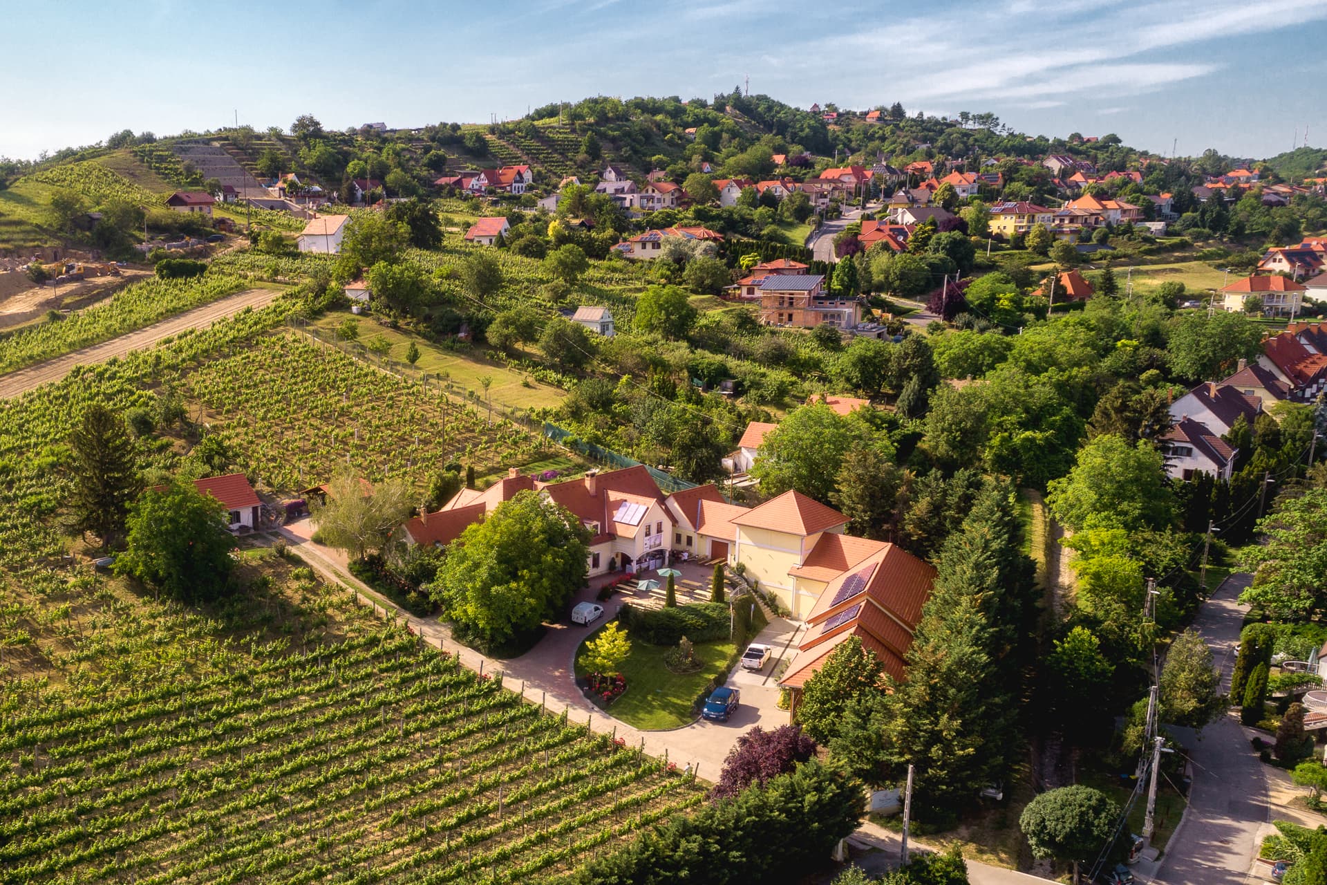 Vida Péter Winery, Szekszárd foto 2