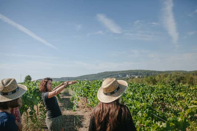 Parés Baltà Winery
