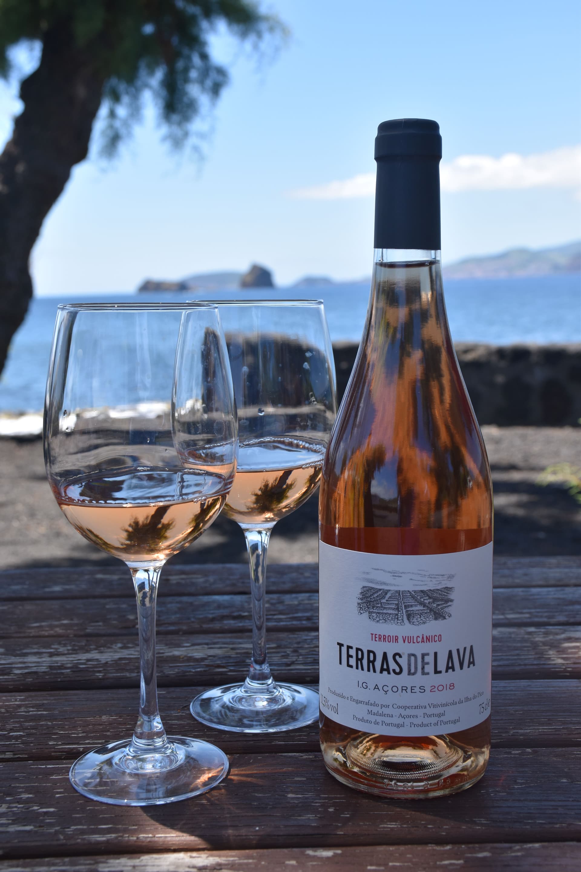 De la tierra al mar: cata de vinos en la cooperativa vinícola Pico Island Wine Cooperative - Picowines
