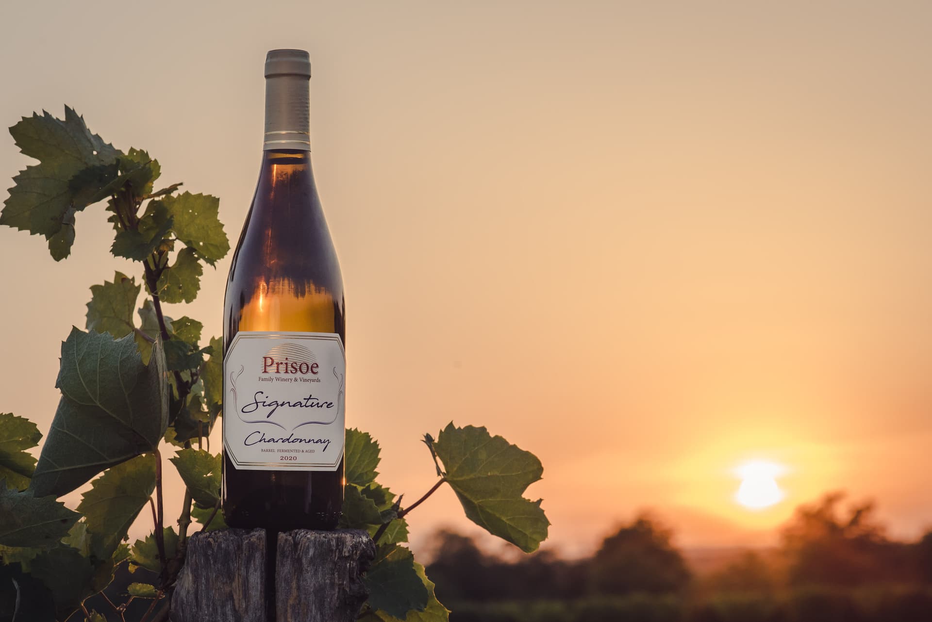 Prisoe Winery Foto 1