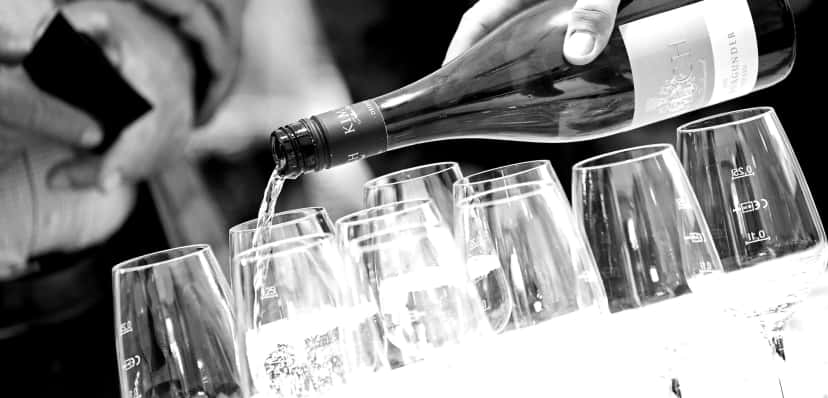 Pfalz Wine Journey: Tasting & Cellar Tour at Kimich