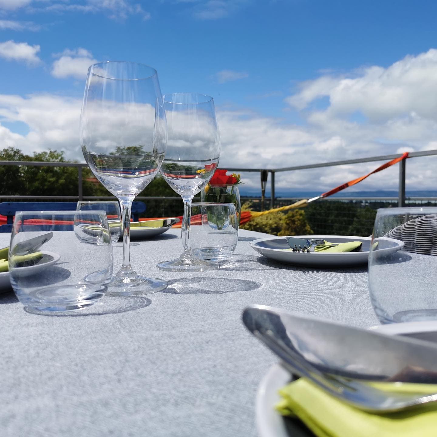 Cata de vinos con rillettes, queso, pan | Bodega y viñedo Kékajtó