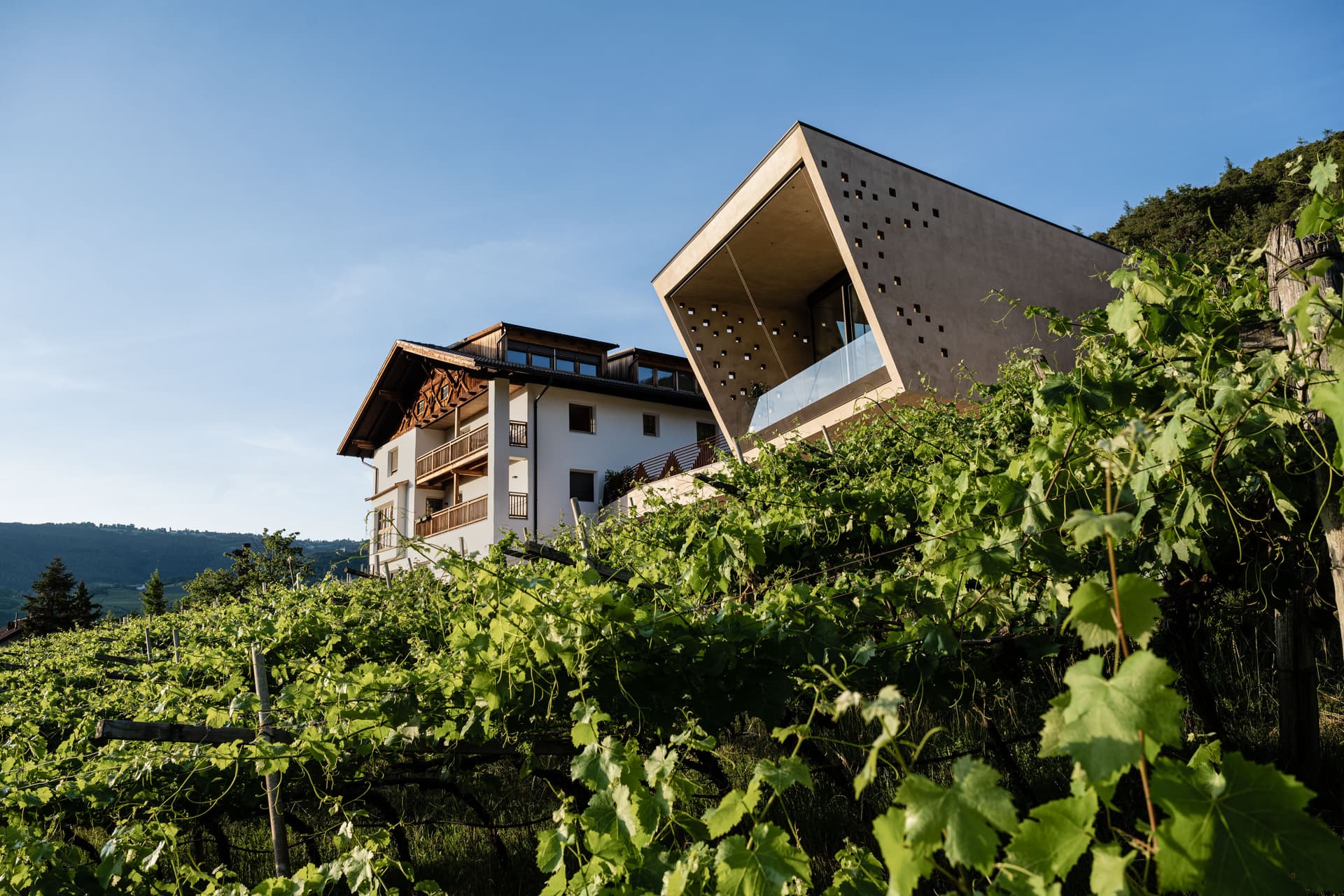 Degustação de vinhos em Franz Gojer - Glögglhof