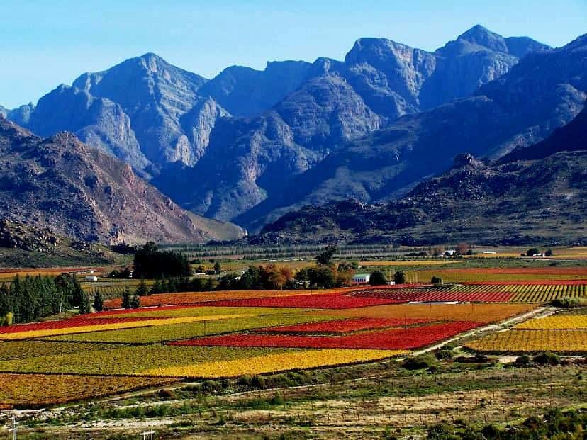 Cape Town wine city