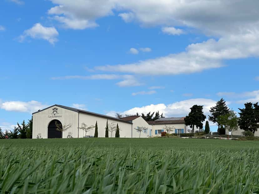 Domaine La Louvière: A Hidden Gem in Languedoc