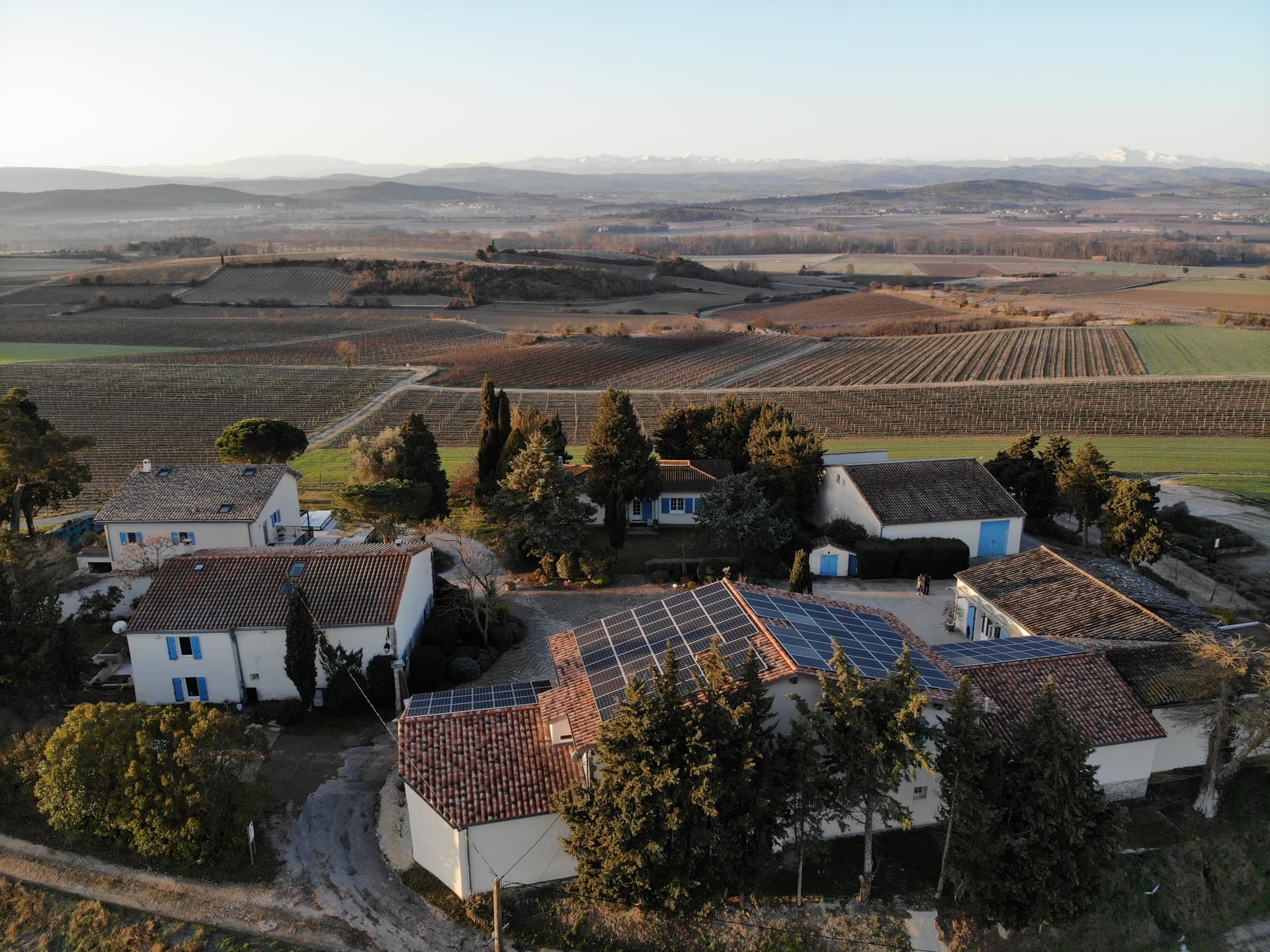 Kellerbesichtigung mit Weinprobe im Domaine La Louvière