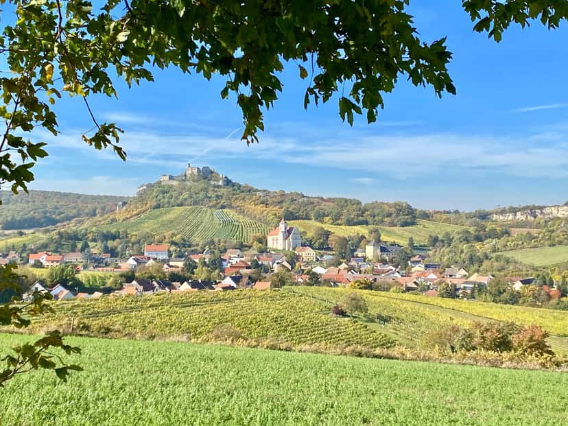 Privater Wein-Tagesausflug
