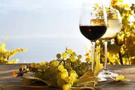 Wine experience in a pre-philloxera Winery in Amalfi Coast!