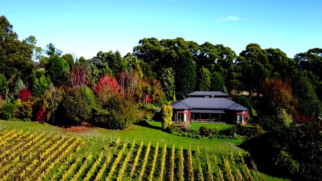Grey Sands Vineyard