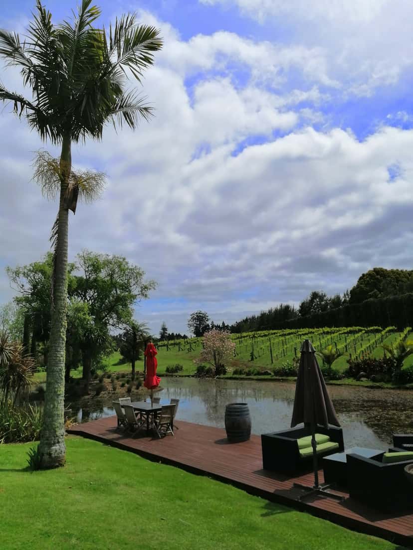 Bay of Islands Private Tour & The Wine Tasting