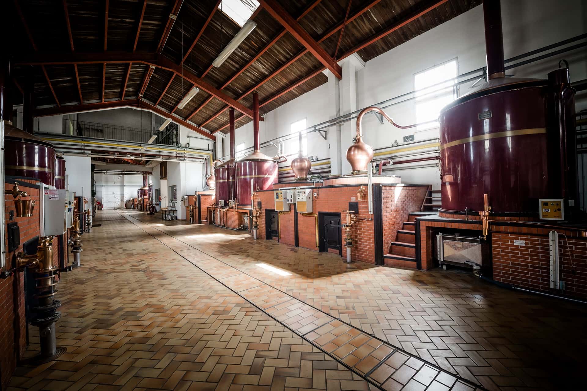 Degustazione e tour di Cognac e Pineau des Charentes da Jules…
