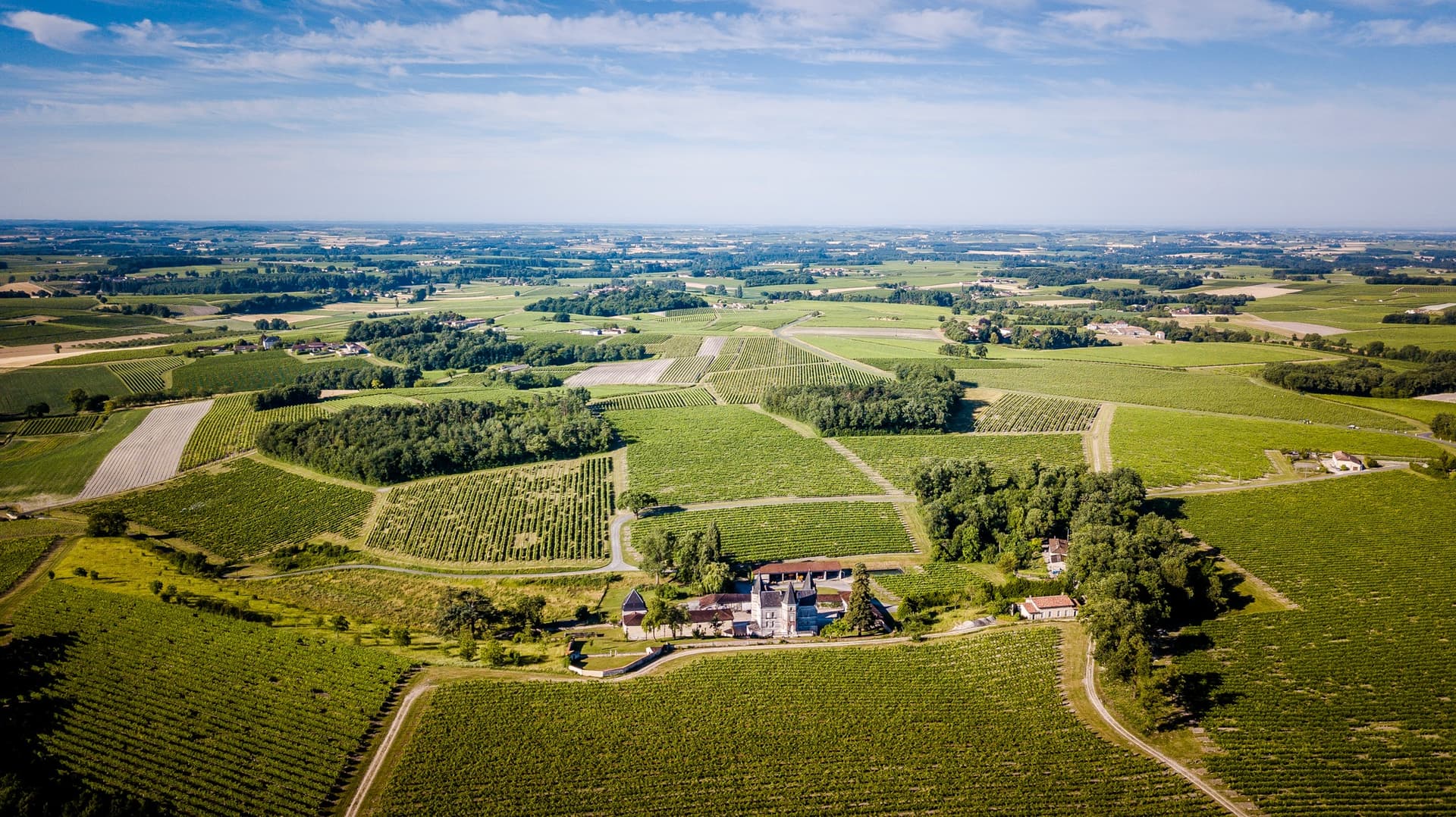 Jules Gautret Winery foto 1