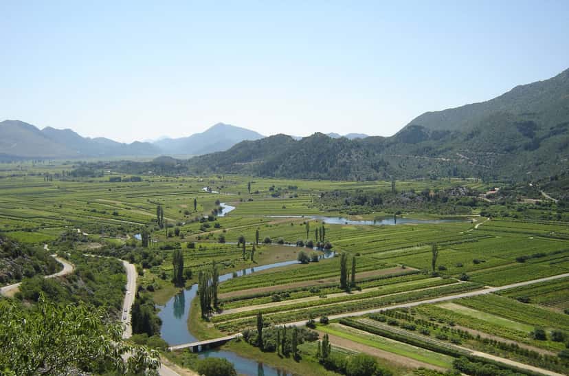 Winery Franić