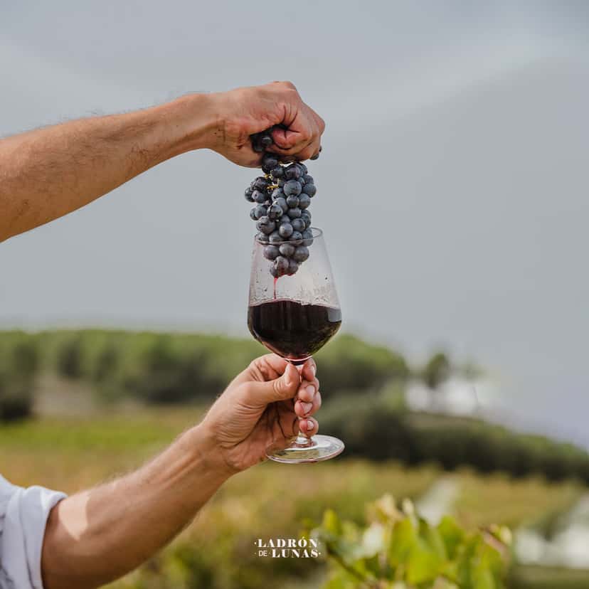 Ladron De Lunas Winery