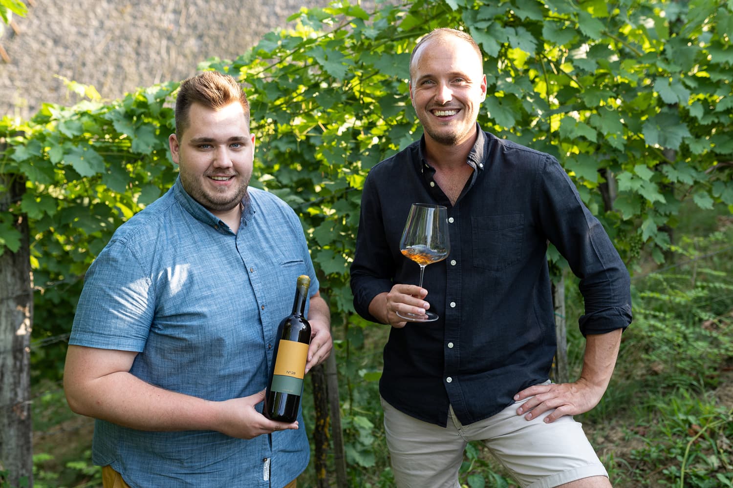 Degustação de vinhos e tour em Lendwines