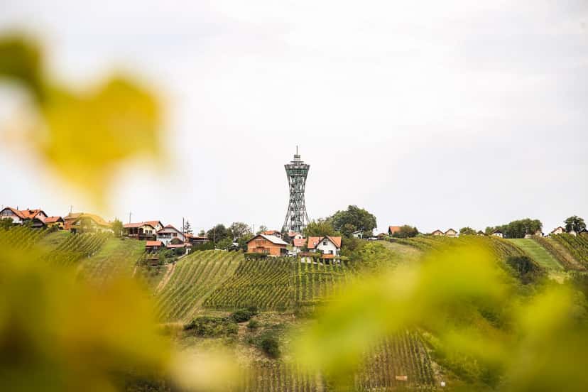 Lendwines