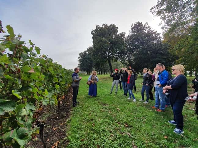 Visita - degustazione al Château Sainte Barbe