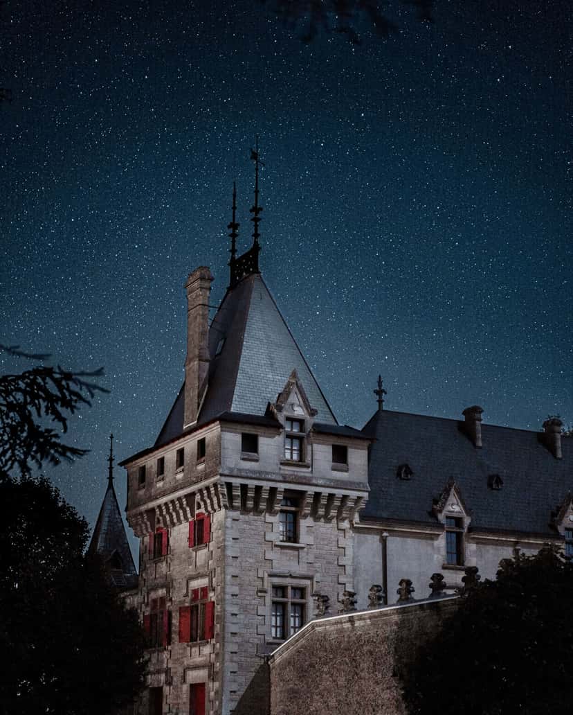 Dégustation de vins et visite privée du domaine viticole du Château de Pressac