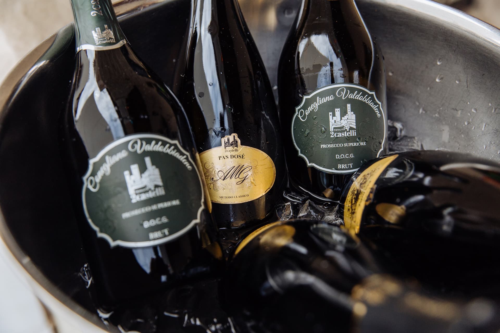 Veneto Vineyard Tour & Organic Wine Tasting