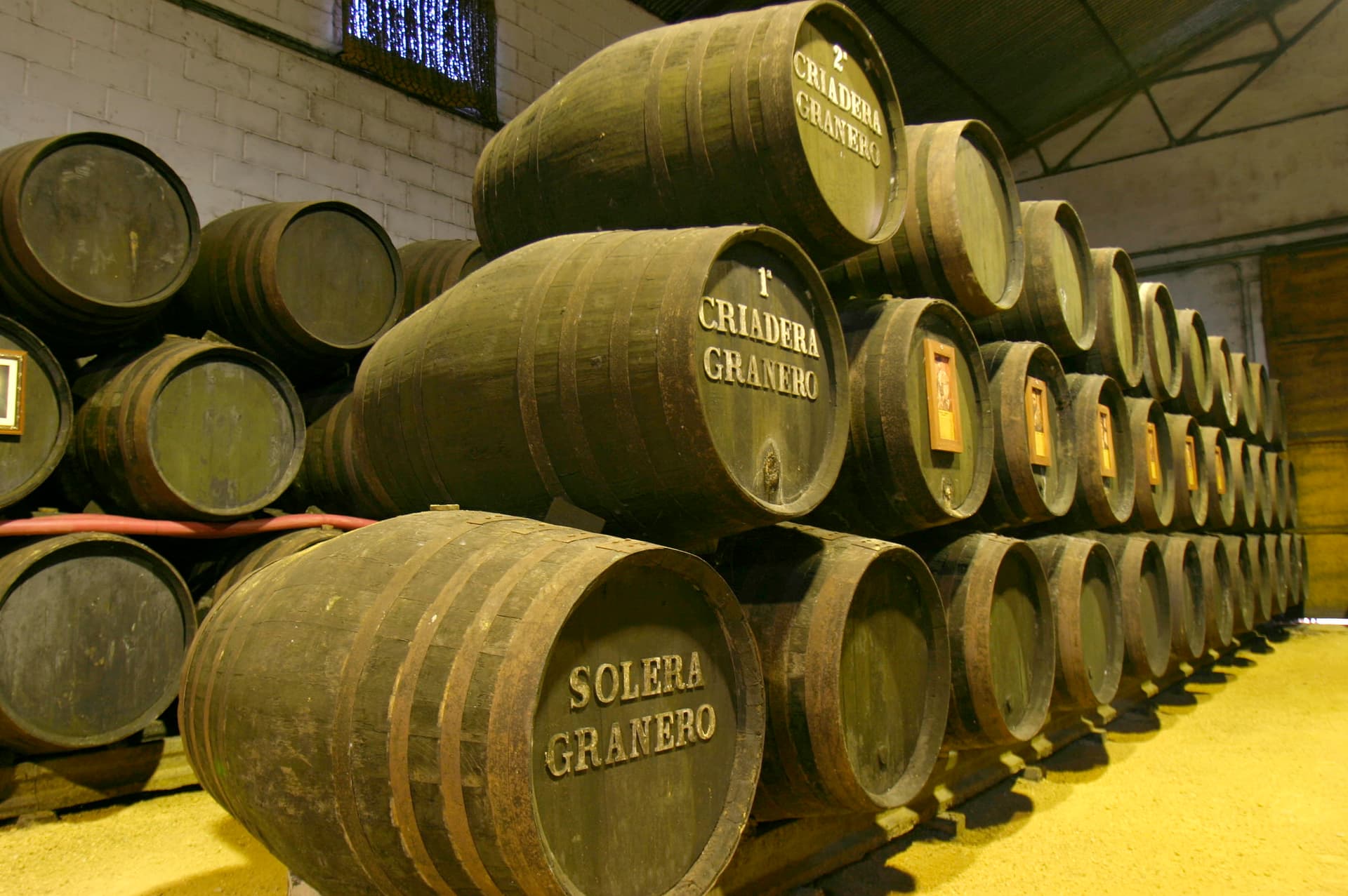 Bodega Manuel Aragón, S.L. photo 3