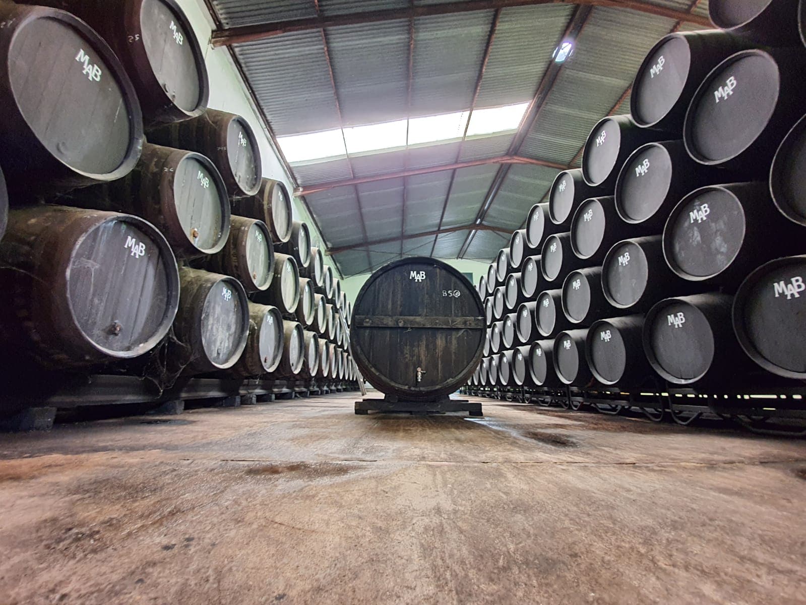 Bodega Manuel Aragón, S.L. photo 5