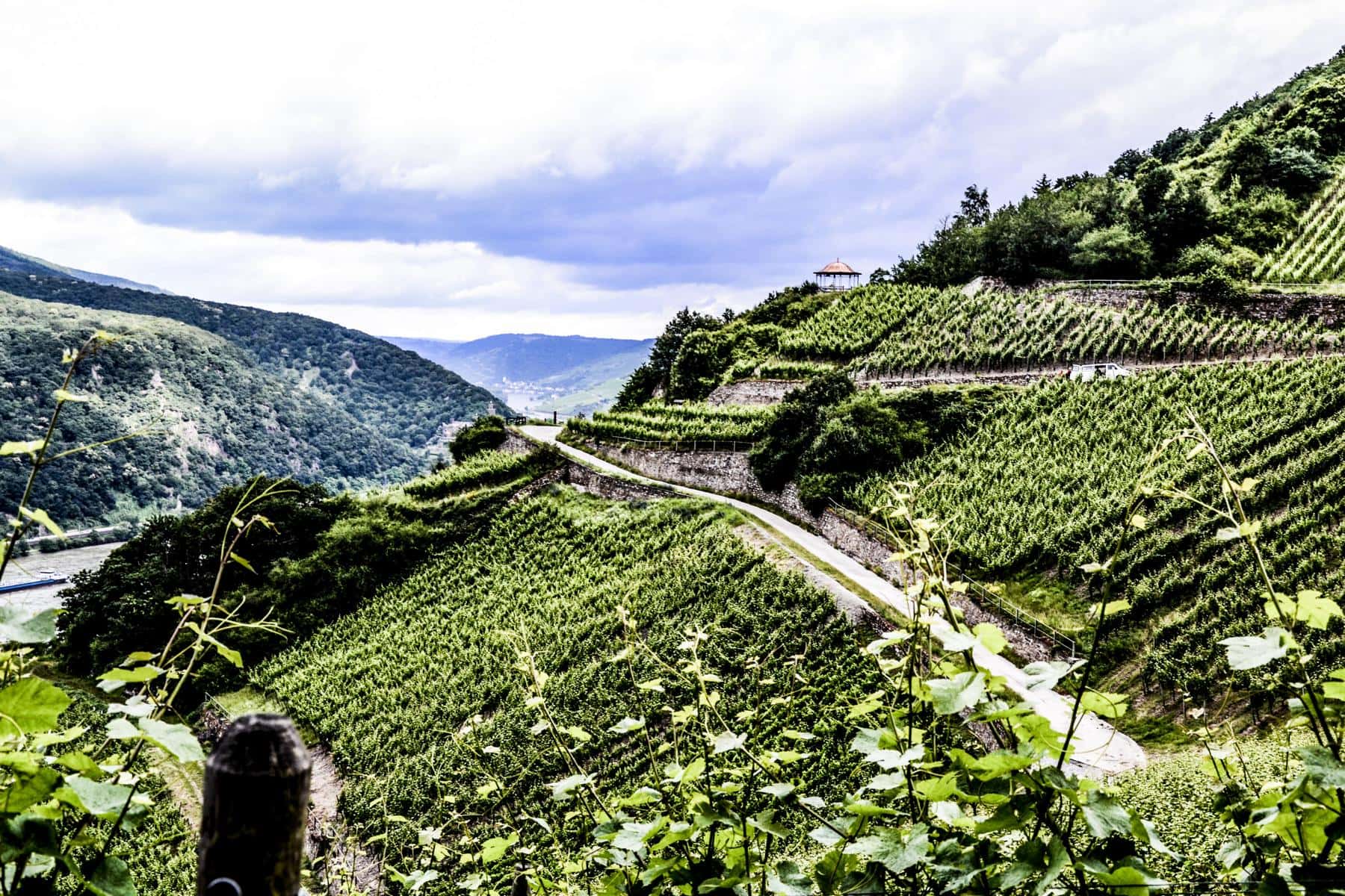 Cata de vinos en Weingut Robert König