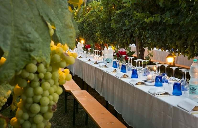 Cena en los viñedos de Chianti desde Florencia