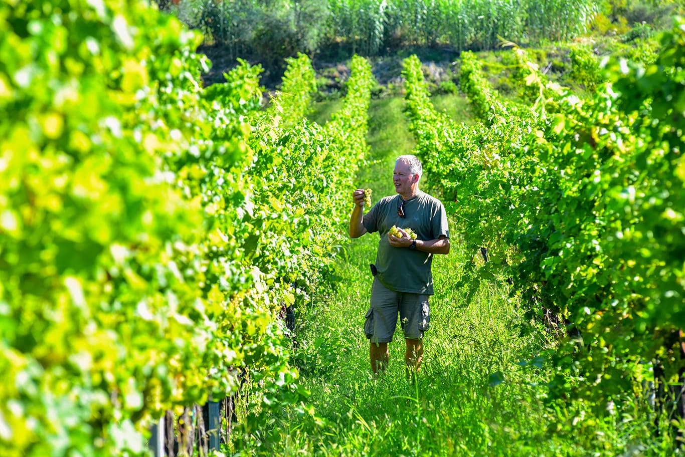 Degrassi Winery Foto 1