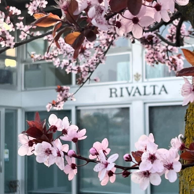 Fragrância de Flores Dea-Rivalta