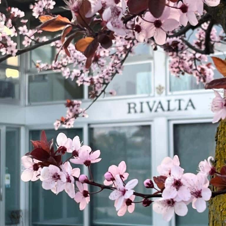 Fragrance of Flowers Dea-Rivalta