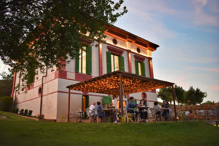 Gourmet Winery Tour: Wine Tasting and 8-Course Menu
